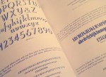 the one in typeface classification